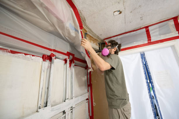 Best Post-Remediation Verification Testing  in Blanco, TX