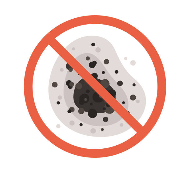  Blanco, TX Mold Removal Pros